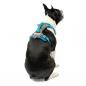 Preview: Kurgo Journey Air Harness Blau  Gr. S